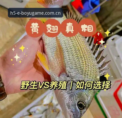 博鱼体育网址大全功能详解 博鱼综合平台2025新版功能详解完整指南:从注册到APP下载的全流程深度剖析